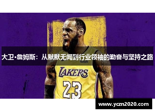 大卫·詹姆斯：从默默无闻到行业领袖的勤奋与坚持之路