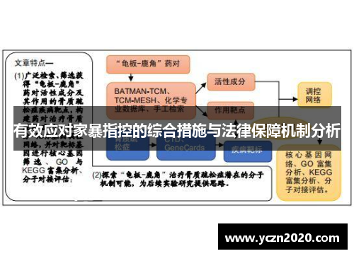 有效应对家暴指控的综合措施与法律保障机制分析