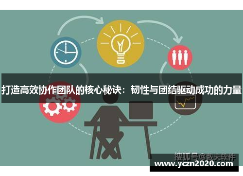 打造高效协作团队的核心秘诀：韧性与团结驱动成功的力量