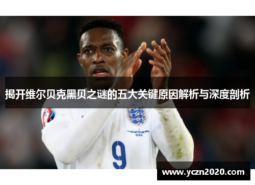 揭开维尔贝克黑贝之谜的五大关键原因解析与深度剖析