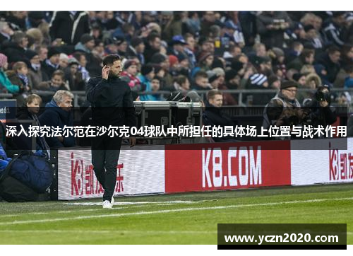 深入探究法尔范在沙尔克04球队中所担任的具体场上位置与战术作用